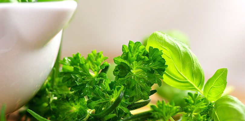 Add Herbs to Your Diet